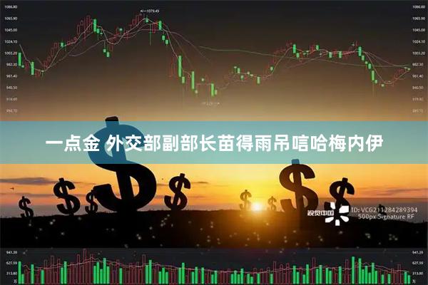 一点金 外交部副部长苗得雨吊唁哈梅内伊