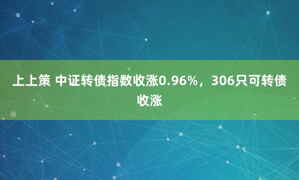 上上策 中证转债指数收涨0.96%，306只可转债收涨