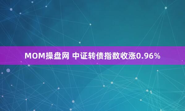 MOM操盘网 中证转债指数收涨0.96%