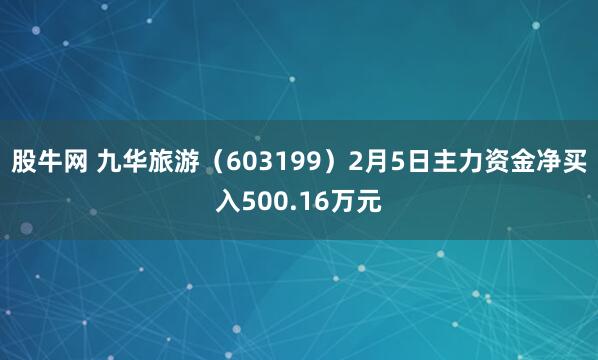 股牛网 九华旅游（603199）2月5日主力资金净买入500.16万元